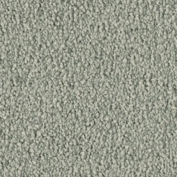 Vorwerk Violetta 54A8 – Draufsicht Teppichboden Farbe 54A8 ohne Badge